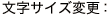 文字サイズ変更：