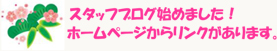 http://ameblo.jp/lavita6661/