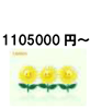 1105000 円～