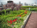ボンセジュールグラン桜新町